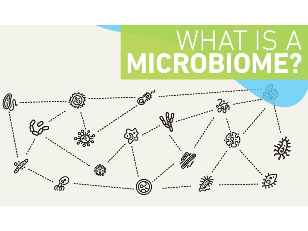 microbiome là gì