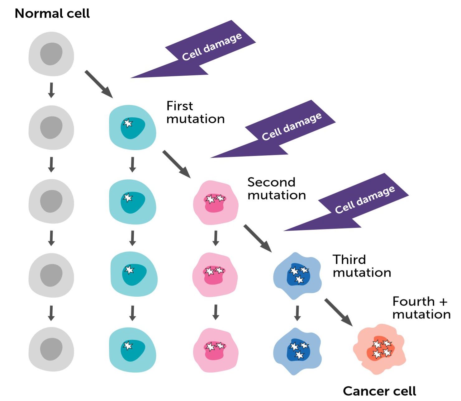 cell damage and cancer2 e1689665080773