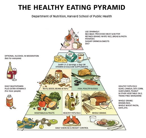 food pyramid e1709782317798