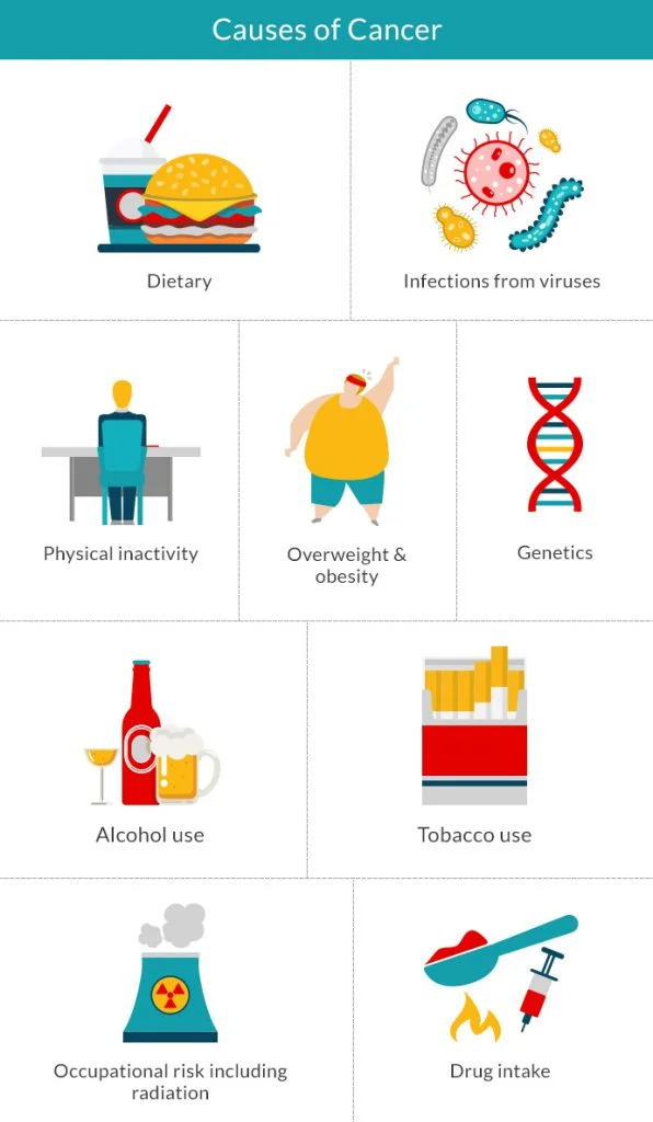 Causes of cancer icons 596x1024 1